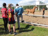 В Твери для несовершеннолетних правонарушителей провели экскурсию на ипподроме - Новости ТИА