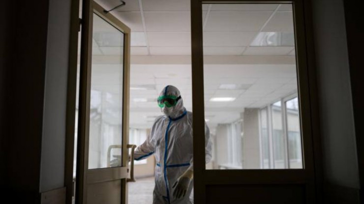 В России не нашли вирус Нипах: названа причина, почему ему здесь не прижиться - новости ТИА