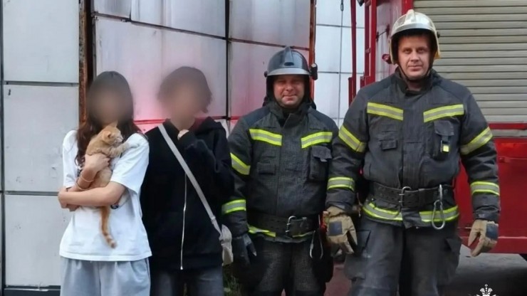 В Нелидово спасатели помогли коту, который оказался в безвыходном положении - новости ТИА