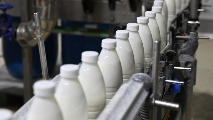 В Бологом суд запретил выпускать продукцию молокозаводу из-за фальсификата - новости ТИА