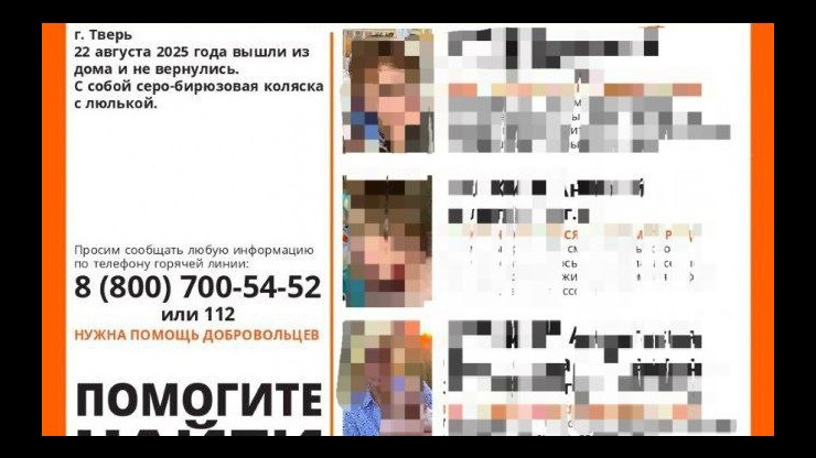 СК разбирается в истории с исчезновением мамы с тремя детьми в Тверской области - новости ТИА