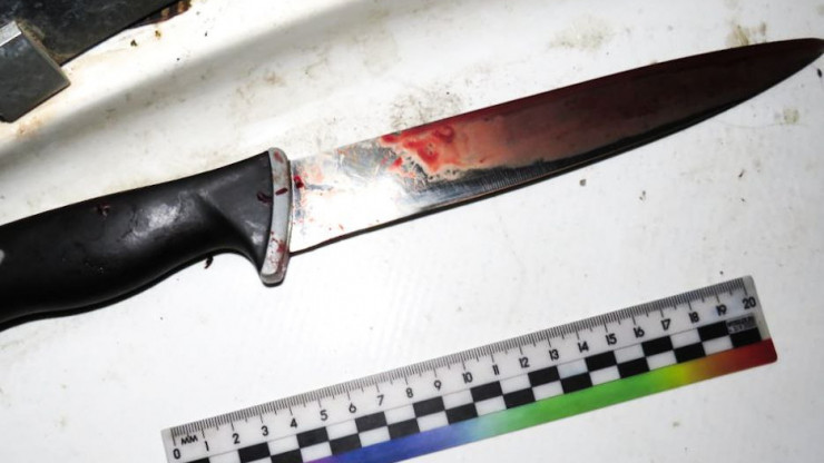 В Тверской области житель Москвы воткнул нож в шею знакомой - новости ТИА