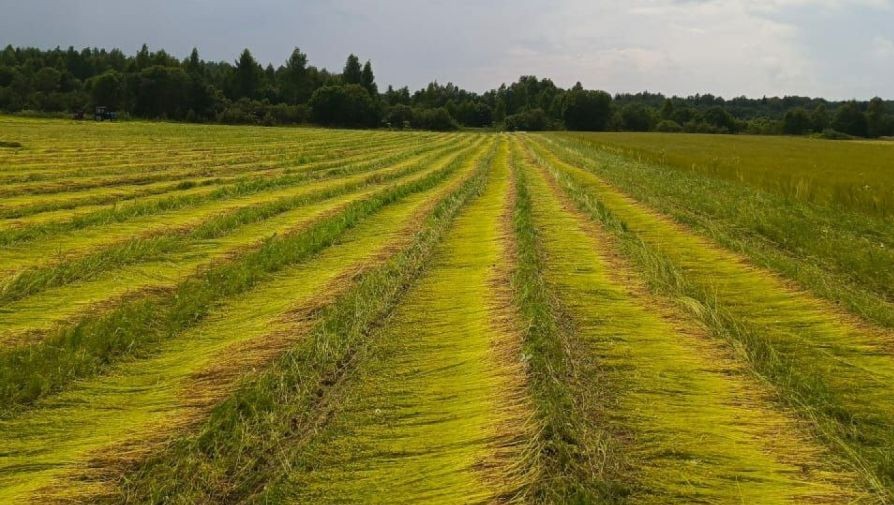 Фото: правительство Тверской области
