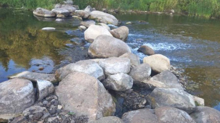 В Тверской области мужчина самовольно сделал плотины и обезводил реку - новости ТИА