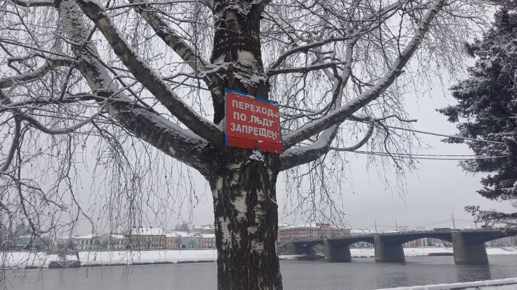 В последний день осени в Тверской области ожидаются снег, дождь и туман - новости ТИА