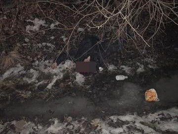 фото УГИБДД по Тверской области фото УГИБДД по Тверской области