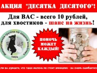 10 января в Твери проходит благотворительная акция "Десятка десятого" - Новости ТИА