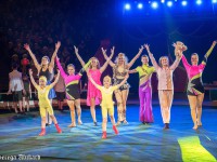 В Твери пройдёт Международный фестиваль-конкурс циркового искусства - Новости ТИА