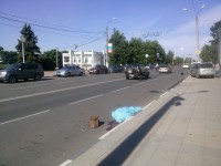 В Твери насмерть сбили женщину на пешеходном переходе - Новости ТИА