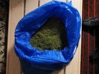 Пенсионер хранил у себя дома почти килограмм марихуаны - Новости ТИА