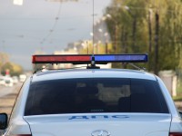 В Тверской области водитель въехал в дерево и погиб - Новости ТИА
