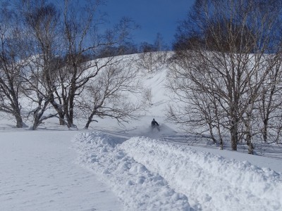 В Тверской области снегоход врезался в снежный вал, пострадал водитель - новости ТИА