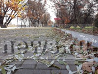 В Твери вандалы целую ночь громили парк Победы - Новости ТИА