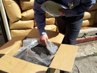 Импорт в Тверскую область: сотни и десятки тонн свёклы, хлопка, орехов, пряностей и кофе - новости ТИА