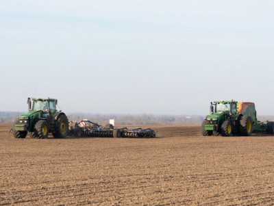 В Тверской области посадили картофель на 14,1 тысячах гектаров - Новости ТИА