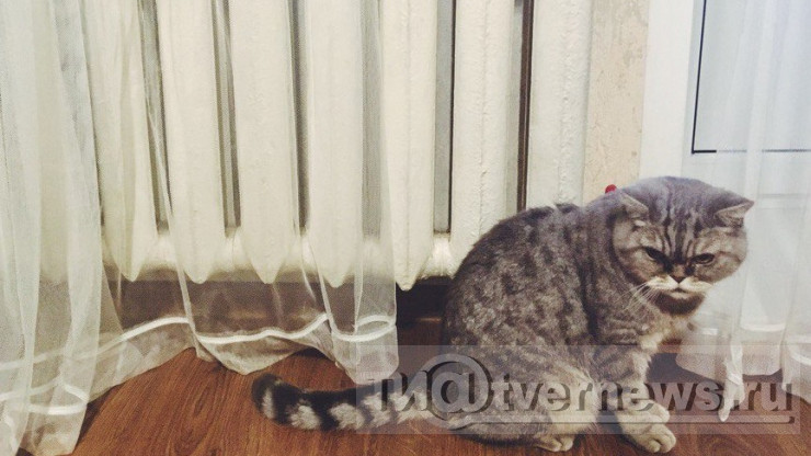 Жителям Нелидово сделали перерасчёт за холод в квартирах - новости ТИА