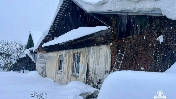 "Помассажируй грудинку, Сереж": пожарные спасли кота и собаку в Тверской области - новости ТИА