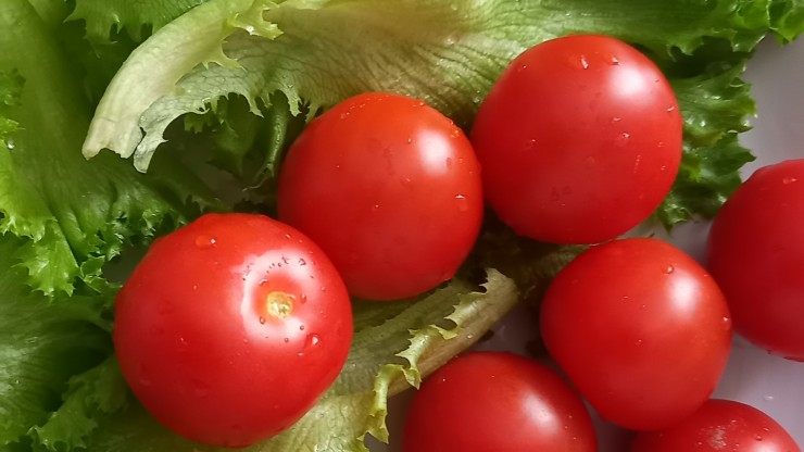 Тверские специалисты запретили продавать "Султана Сулеймана" на маркетплейсе - новости ТИА