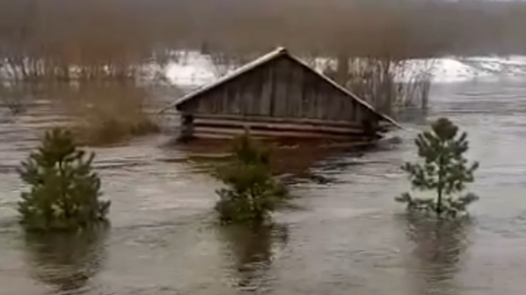 Проплывающий мимо Торжка дом причалил в деревне Паника Торжокского района - новости ТИА