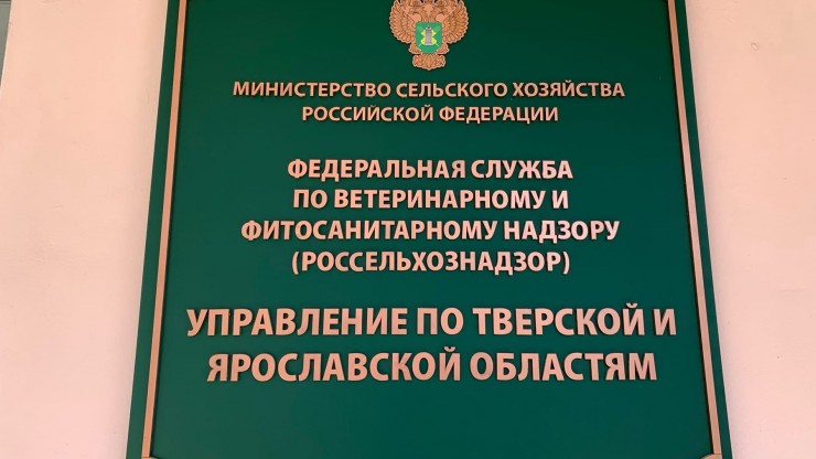 В теплицах Кимр и Твери установили феромонные ловушки - новости ТИА