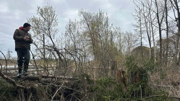 Сотни километров треков: в Тверской области пять дней ищут пропавшего подростка - новости ТИА