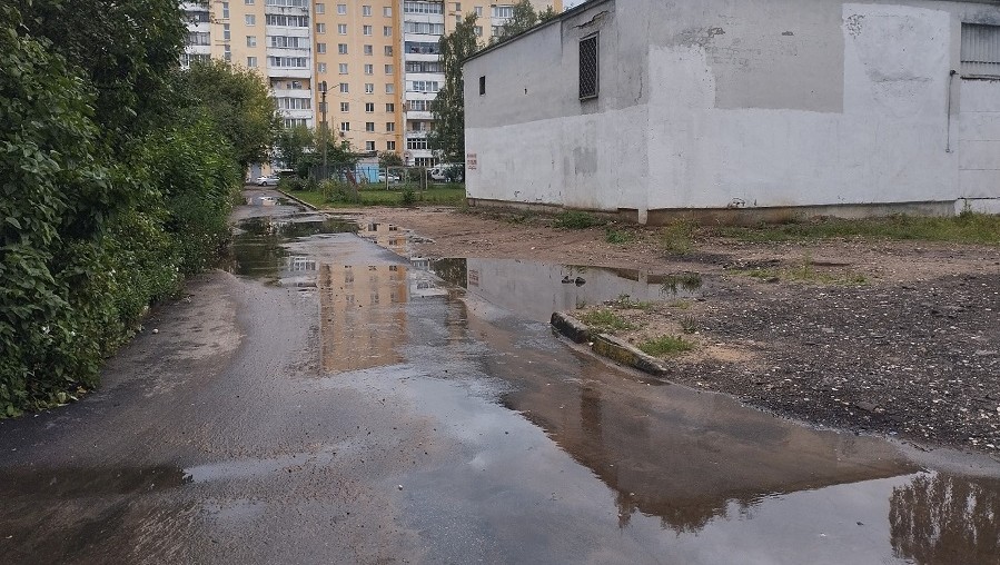 Фото: прислали в редакцию ТИА