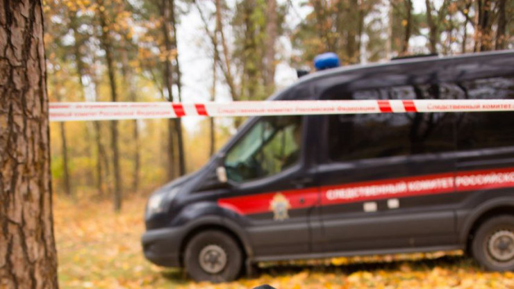 В Тверской области в лесу обнаружено тело пожилого мужчины - новости ТИА