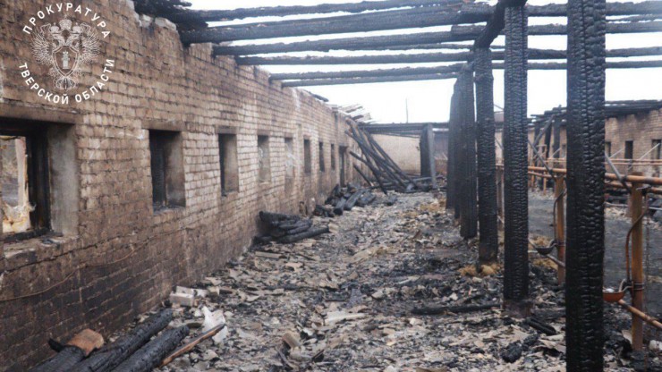 В Тверской области женщина получила условный срок за поджог фермы и гибель 19 коров - новости ТИА