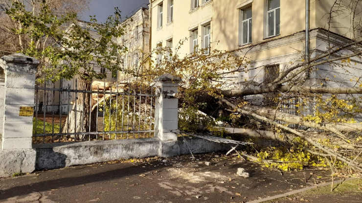 В Твери дерево упало на забор старого здания Суворовского училища - новости ТИА