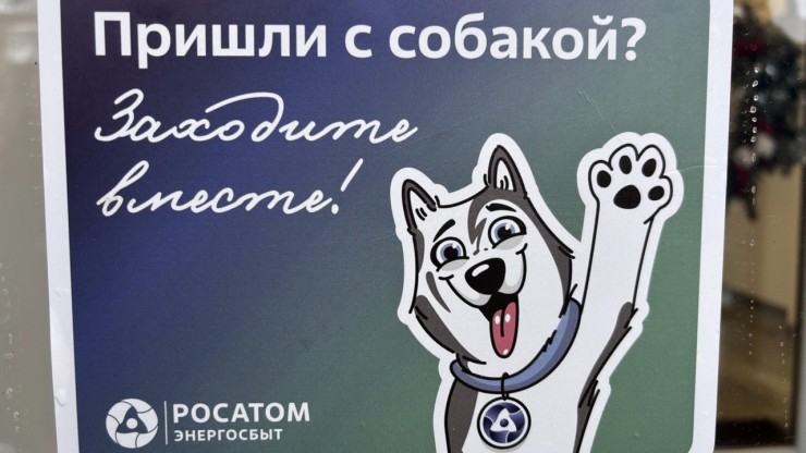 Центры обслуживания клиентов в пяти регионах открыли двери для посетителей с питомцами - новости ТИА