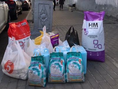 В Твери сокурсники живодёра собрали корм для бездомных животных - новости ТИА