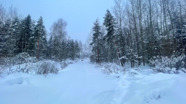 В Тверскую область идут новые продолжительные снегопады - новости ТИА
