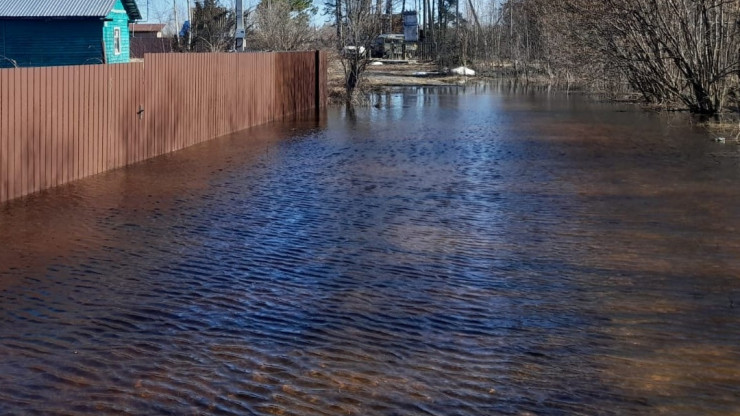 За сутки вода в реке Обша повысилась на шесть сантиметров - новости ТИА