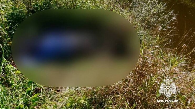 В Тверской области в реке Межа обнаружили тело мужчины - новости ТИА