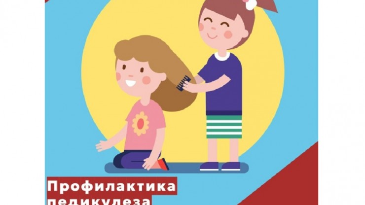 Тверские специалисты предупредили об опасности педикулеза - новости ТИА