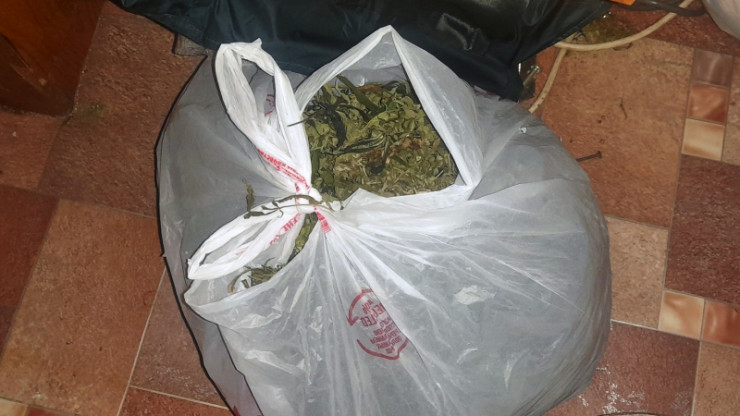 Житель Осташкова хранил дома килограмм марихуаны - новости ТИА