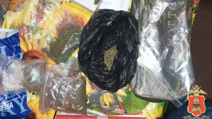 Житель Твери готовил на даче марихуану для продажи наркоманам - новости ТИА