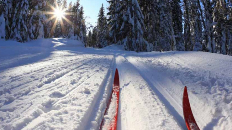 В праздничные дни в Чуприяновке будет работать лыжная база - новости ТИА