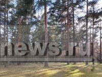 В Тверской области накажут двух нарушителей запрета на охоту - Новости ТИА