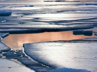 Трагедия в Тверской области: 7-летний ребёнок утонул в ручье, мать ломала лёд, чтобы найти утонувшего сына - Новости ТИА