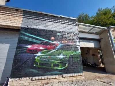 Тверская уличная художница разрисовала стену автосервиса в Торжке - новости ТИА