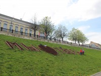 В городе появится надпись «Мы любим Тверь» из 860 колеусов - Новости ТИА