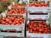 В Твери на складах изъяли почти 200 кг испанского винограда и томатов - Новости ТИА