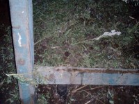 В Тверской области у мужчины отобрали урожай конопли - Новости ТИА