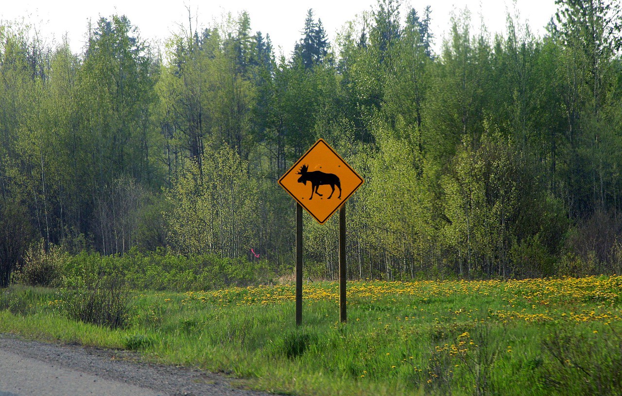 Фото с сайта pixabay.com <p>Фото с сайта pixabay.com</p>