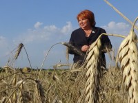 Депутат Госдумы РФ Светлана Максимова предложила ввести налог для личных подсобных хозяйств - новости ТИА