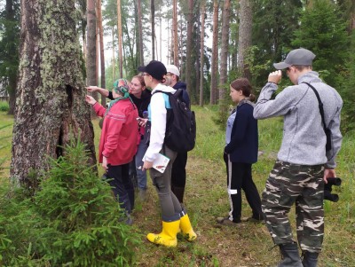 Активисты школьных лесничеств региона прошли обучение в "Академии леса" - Новости ТИА
