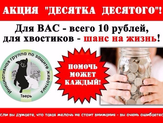 <p></p>