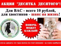 В Твери проходит традиционная акция помощи животным "Десятка десятого" - Новости ТИА