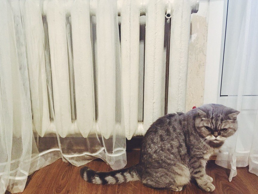 <strong>Автор: ТИА</strong><p></p>